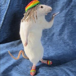 Meet your Posher, Alejandra